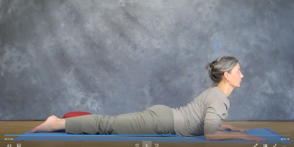 Yogakurs - spezielle Yogaangebote: Yogatherapie - Ettlingen - Hatha Yoga Präsenz & Live-Stream-Online Kurs