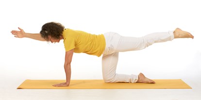 Yogakurs - Mitglied im Yoga-Verband: BYV (Der Berufsverband der Yoga Vidya Lehrer/innen) - Brandenburg - Yoga für den Rücken - Yoga für den Rücken, Yoga und Meditation