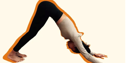 Yogakurs - Weitere Angebote: Yogalehrer Fortbildungen - HATHA YOGA für den RÜCKEN - Krankenkassenkurs - Gesundheitskurs - Präventionskurs