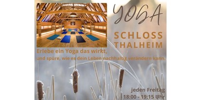 Yogakurs - Mitglied im Yoga-Verband: YVO (Yoga Vereinigung Österreich e. V.) - Österreich - Dein Körper, Geist und Seele wird es dir danken. - Yoga im Schloss Thalheim 