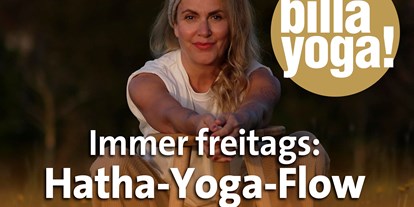 Yogakurs - geeignet für: Ältere Menschen - Hessen Nord - Billayoga: Hatha-Yoga-Flow in Felsberg, immer freitags 18 Uhr
