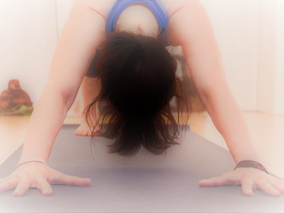 Yogakurs - Yogastil: Vinyasa Flow - Qi-Life Yogalehrer Ausbildung 220h
