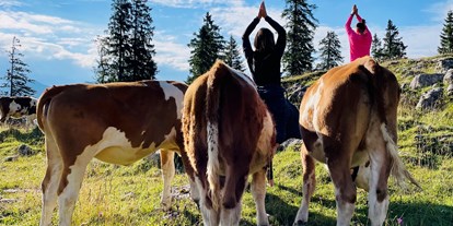 Yogakurs - geeignet für: Erwachsene - Deutschland - Meditations-& Wanderretreat auf der Oberen Firstalm