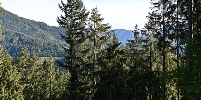 Yoga course - Ambiente der Unterkunft: Spirituell - Die Umgebung - Re-balance Yourself: Yoga, Ayurveda & Coaching Retreat im Schwarzwald 