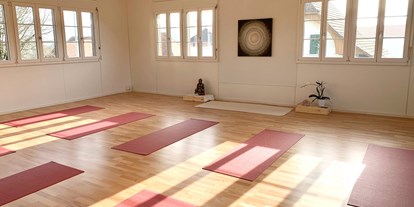 Yogakurs - vorhandenes Yogazubehör: Sitz- / Meditationskissen - Schweiz - Kursraum "Tara" - Ananda Oedipe satyam Yoga Zentrum