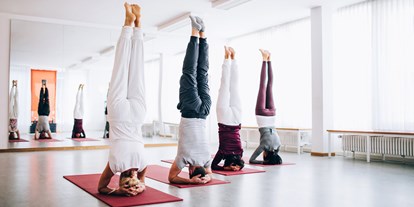 Yogakurs - geeignet für: Fortgeschrittene - München Haidhausen - Kopfstand - Sirshasana - Yoga & Meditation München-Solln  |  Gabriele Metz