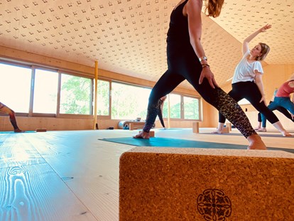 Yogakurs - vorhandenes Yogazubehör: Yogablöcke - Deutschland - 200h Multi-Style Yogalehrer Ausbildung