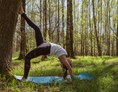 Yoga: Waldyoga