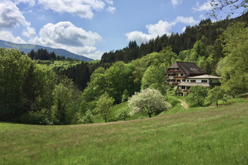 Yogaevent: Das Steinweiden Retreat Center - Re-balance Yourself: Yoga, Ayurveda & Coaching Retreat im Schwarzwald 